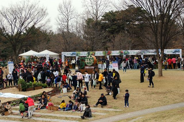 산림청은 국민들에게 나무를 심고 가꾸는 일이 중요하다는 것을 알리기 위해 매년 식목일을 전후해 '내 나무 갖기 캠페인'을 벌이고 있다. 산림청 제공