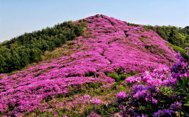 주차장에서 20분 정도 걸으면 완전히 새로운 풍경이 나타난다.