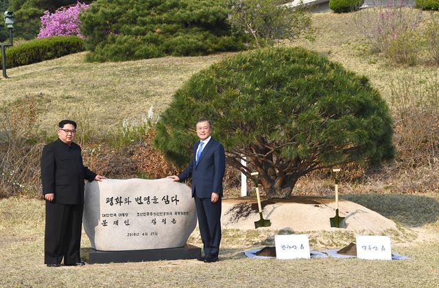 문재인 대통령과 북한 김정은 국무위원장이 27일 오후 판문점 인근 '소떼 길'에서 기념 식수하고 표지석을 공개하고 있다. 판문점=고영권 기자