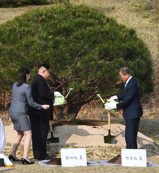 판문점 '소떼길'에서 열린 공동식수 행사에서 문 대통령은 대동강물을 김 위원장은 한강물을 소나무에 주고 있다. 김 위원장을 밀착 수행하고 있는 김여정 노동당 중앙위원회 제1부부장의 모습이 담겼다.