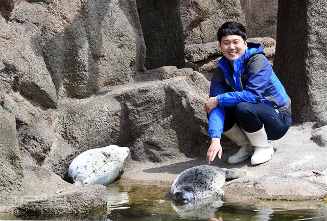 선주동 사육사가 3월 중순 태어난 점박이물범 새끼 두 마리를 보듬고 있다. 오전 내 헤엄을 친 새끼들은 물가에 드러누워 봄 햇볕을 만끽하고 있다. 신상순 선임기자 ssshin@hankookilbo.com