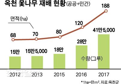 그래픽=박구원 기자