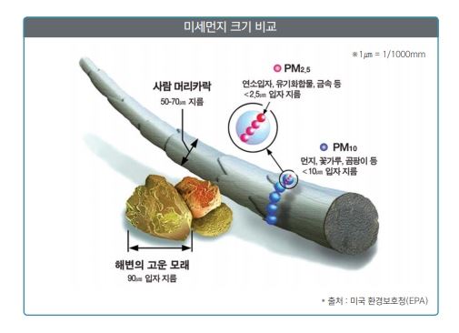 미세먼지, 초미세먼지, 머리카락 크기 비교. 환경부 '미세먼지, 도대체 뭘까' 전자책 캡처