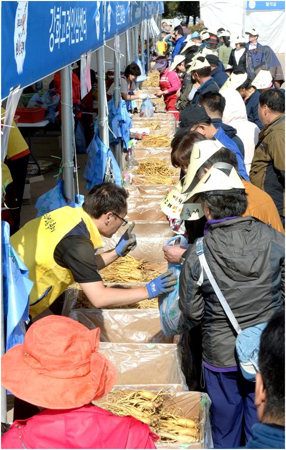 2017년 10월 인천 강화군 하점면 강화 고인돌 광장에서 열린 제5회 강화고려인삼축제 행사장에서 수삼이 팔리고 있다. 강화군 제공