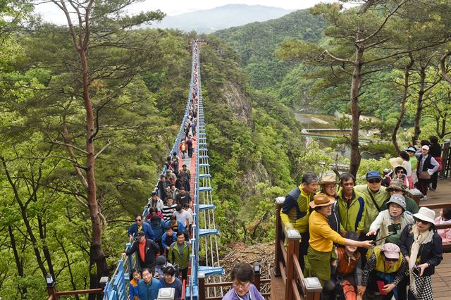 지난 1월 개장한 원주 소금산 출렁다리 방문객이 110일만에 100만을 돌파하는 등 지역을 대표하는 관광상품으로 떠올랐다. 원주시 제공