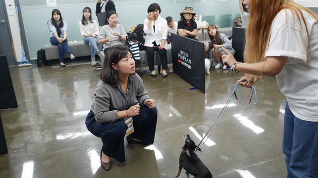 보호자와 반려견이 교감할 수 있는 ‘눈 맞추기’ 훈련을 연습하고 있다. 반려견이 1, 2초만 눈을 맞춰도 재빨리 칭찬을 해줘서 습관을 들이는 게 중요하다.