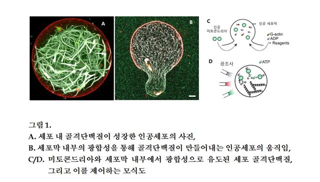 인공세포 개념도. 과학기술정보통신부 제공