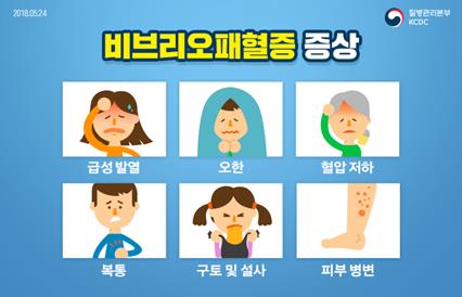 비브리오패혈증 증상. 질병관리본부 제공