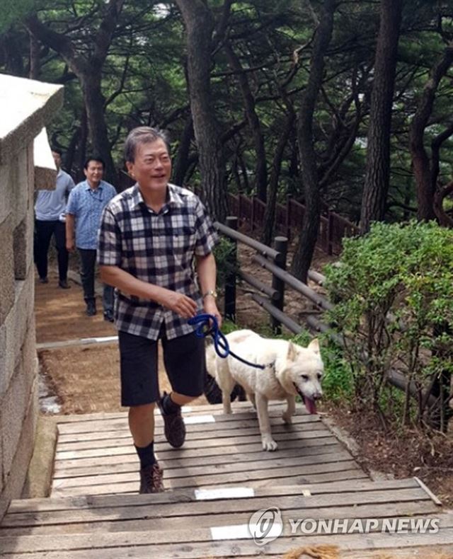 문재인 대통령이 지난 9일 오전 반려견인 '마루', '토리'와 함께 서울 북악산을 등반했다 2017.9.10. 연합뉴스