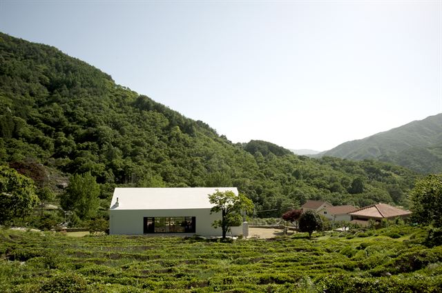 북쪽 녹차밭에서 본 월계재. 멀리서 보면 작은 흰색 집만 있는 것처럼 보인다. 일상건축사사무소 제공