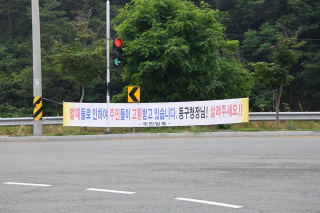 대구 동구 진인동 한 슈퍼 앞, 올 초 벌로 인해 피해를 호소하는 진인동 주민들이 내건 플래카드가 걸려있다. 윤희정기자 yooni@hankookilbo.com