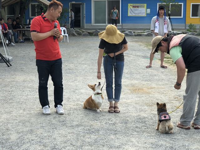 이웅종(왼쪽) 천안연암대 교수가 반려인들을 대상으로 안정적으로 산책하는 법에 대한 강연을 진행하고 있다. 정진욱 동그람이 에디터