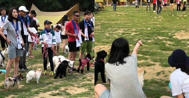 스웨덴전 응원에 앞서 열린 '강아지 올림픽'에 출전한 반려인과 반려견들이 달리기 시합을 준비하고 있다. 정진욱 동그람이 에디터