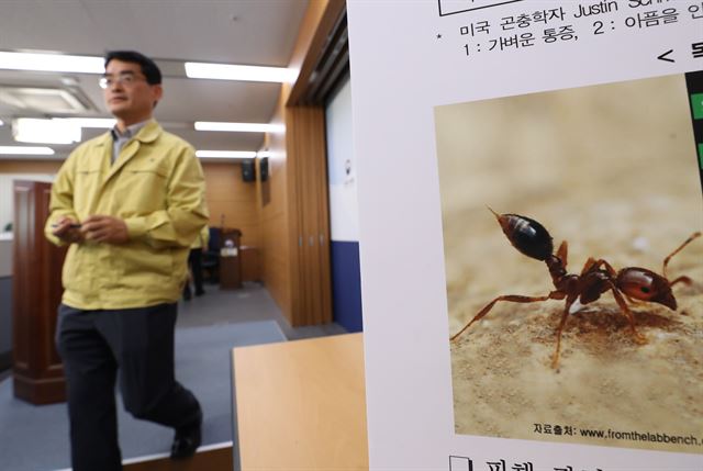 22일 오전 정부세종청사 농림축산식품부에서 농식품부 직원과 전문가들이 붉은불개미 긴급방제 관련 브리핑을 준비하고 있다. 최근 부산항과 평택항에서 붉은불개미가 잇따라 발견되면서 비상이 걸렸다. 세종=연합뉴스