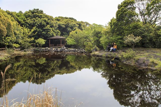 고요하고 평화로운 동백동산 먼물깍. 한국관광공사 제공.