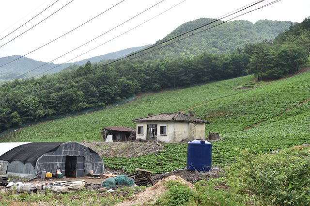 별어곡에서 함백역으로 넘어가는 길의 폐가와 배추밭.