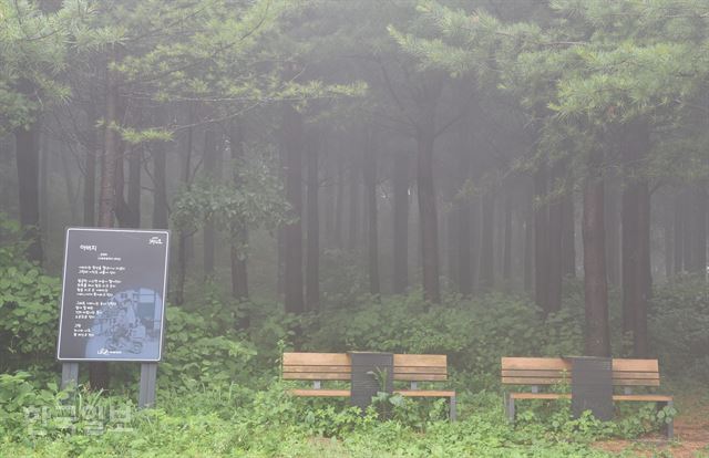 화절령 벤치 옆에 사북초등학교 김명희의 ‘아버지’라는 시가 세워져 있다.