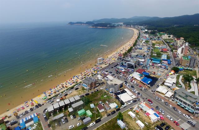 하늘에서 내려다 본 만리포해수욕장. 태안군 제공