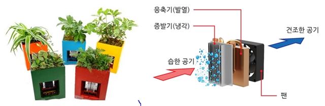 스스로 물을 만드는 화분과 열전 기술로 공기 중 습기를 물로 바꾸는 원리. 농촌진흥청 제공