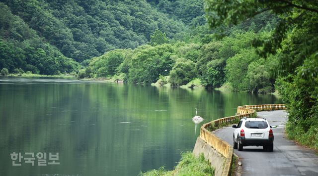 산과 강의 짙은 녹음이 주변의 모든 소음을 삼켰다. 여름 낮의 정적만이 흐르는 금산 제원면 용화리 금강. 금산=최흥수기자