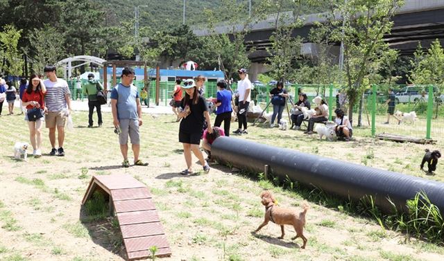 경기 안양시가 지난 8일 만안구 석수동에 개장한 삼막애견공원에서 시민들이 반려동물과 휴식을 즐기고 있다. 안양시 제공