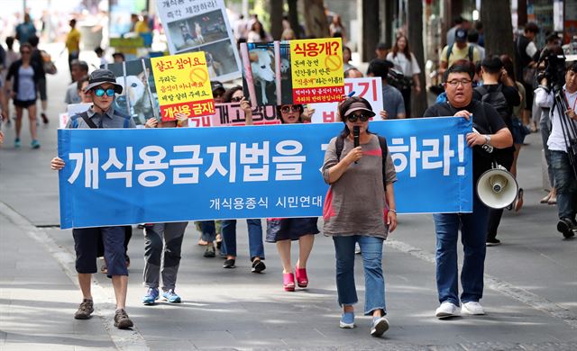 하찮게 여겨지던 개식용 관련 운동이 여기까지 온 것은 현장에서 뛰어준 많은 단체의 활동가와 후원자들 덕분일 것이다. 연합뉴스