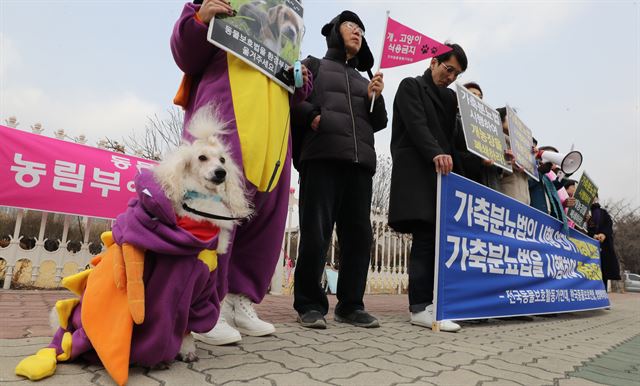 가축에서 개가 제외되면 축산법으로는 가축, 동물보호법으로는 반려동물이던 개가 반려동물로만 인정되어 현재와 같은 개 농장은 운영될 수 없다. 연합뉴스