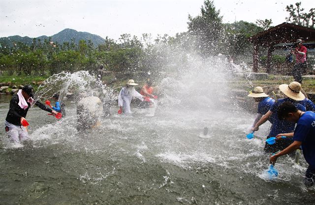 평창 대화면 땀띠공원에서 열리는 평창더위사냥축제 모습. 평창군청 제공