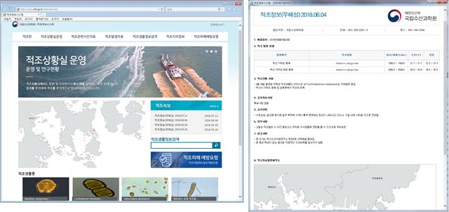 적조정보시스템 홈페이지 화면. 국립수산과학원 제공
