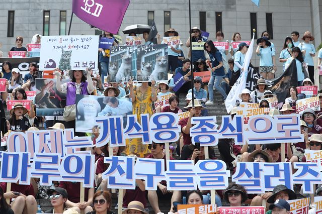 15일 오후 서울 종로구 세종문화회관 계단에서 열린 개ㆍ고양이 도살 금지법 통과를 촉구하는 집회에서 동물단체 회원들과 시민들이 대통령의 반려견 ‘마루’의 친구들을 살려달라는 팻말을 들고 있다. 연합뉴스