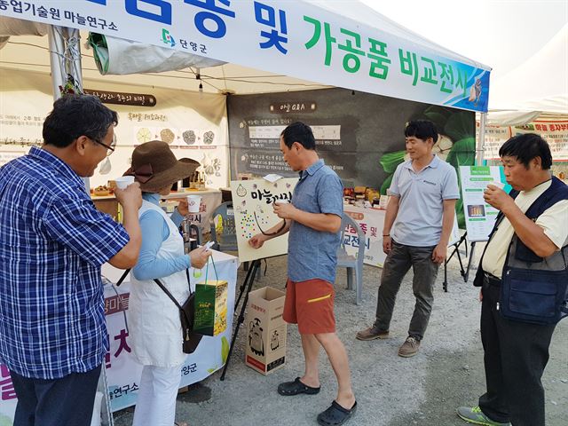 지난 22일 단양마늘축제장을 찾은 사람들이 마늘껍질차를 맛보고 있다. 마늘연구소 제공