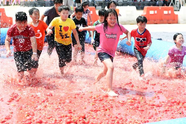 지난 6월 22~24일 경기 광주시에서 열린 ‘제16회 퇴촌토마토 축제’ 현장에서 어린이들이 토마토 풀에 들어가 즐거워하고 있다. 광주시 제공