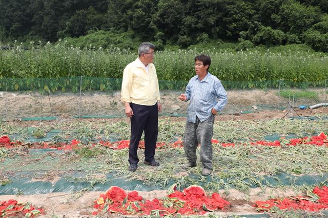 김학동(왼쪽) 예천군수가 폭염피해로 수박농사를 망친 농민을 만나 위로 하고 있다. 예천군 제공