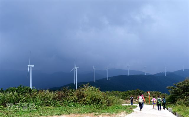 태기산에는 다양한 트레킹 코스가 개설돼 있다. 최흥수기자