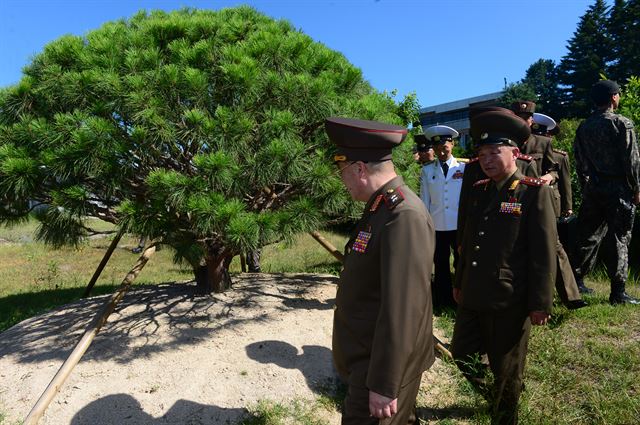 제9차 남북장성급군사회담 북측 수석대표인 안익산 육군 중장이 31일 오전 판문점 남측지역에서 지난 남북정상 회담 때 기념 식수한 소나무를 살펴보고 있다. 판문점=사진공동취재단