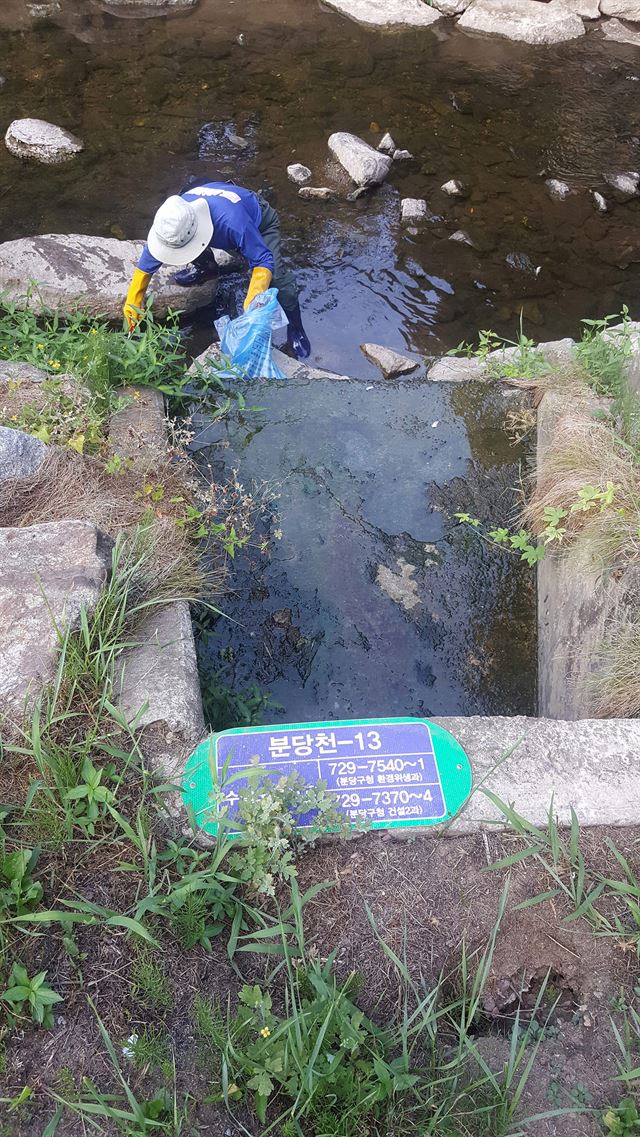 지난달 31일 오전 경기도 성남시 분당천에서 폐사한 물고기 100여마리가 발견돼 시가 원인 조사에 나섰다. 성남시 제공