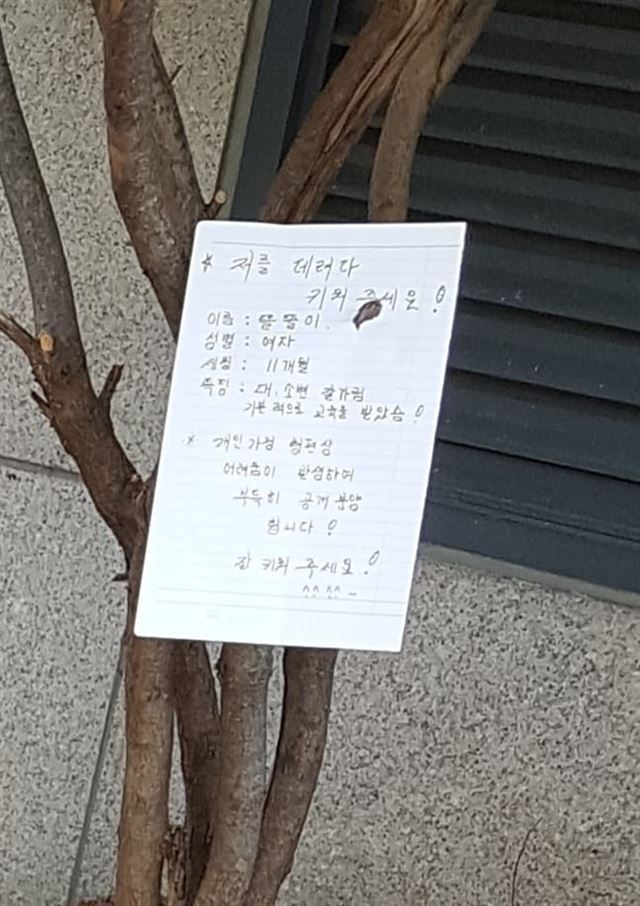 페이스북 페이지 '분당 대신 전해드립니다' 캡처