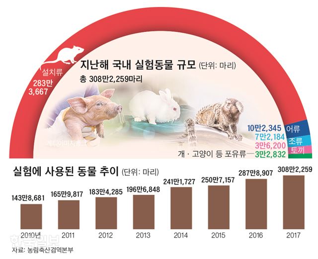 [저작권 한국일보]지난해 국내 실험에 사용된 동물은 모두 308만2,259마리. 8년 전인 2010년 143만8,686마리가 사용된 것과 비교하면 2배가 훌쩍 넘는 수치다. 신동준 기자.