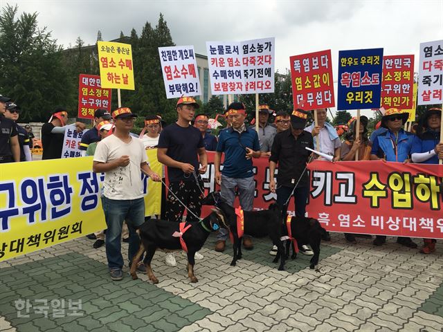 [저작권 한국일보]9일 오전 서울 영등포구 국회의사당 앞에서 염소농가비상대책위원회 소속 회원들이 염소들을 데리고 기자회견을 진행하고 있다. 이상무 기자