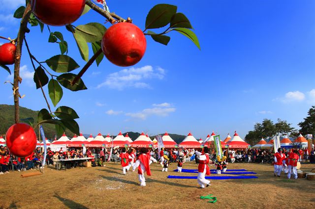 청송군축제조직위원회가 대표축제 명칭을 '청송사과축제'로 변경했다. 사진은 지난해 행사 모습 . 청송군 제공.