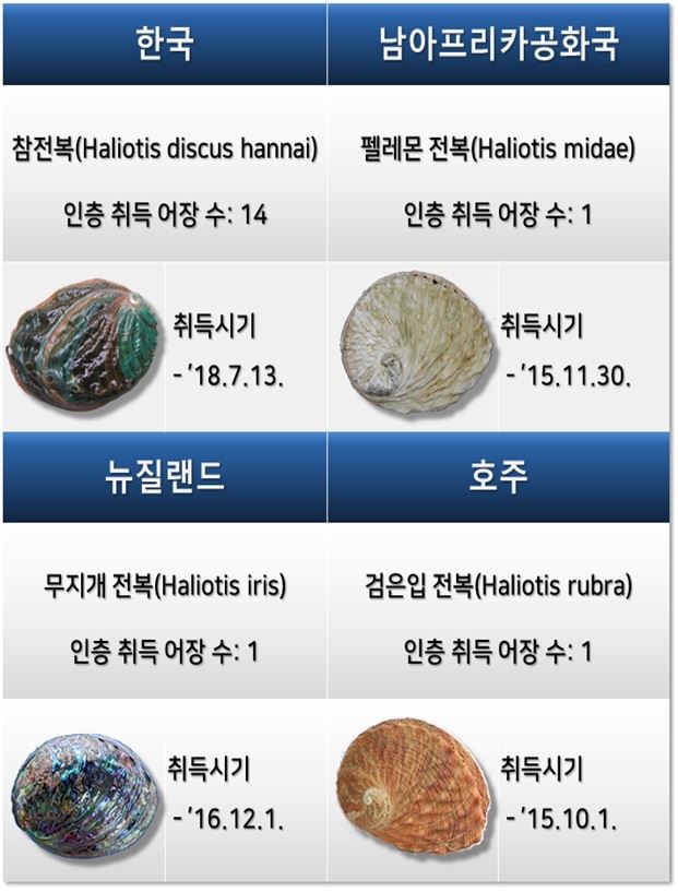 해양수산부는 19일 전남 완도에서 참전복을 기르는 국내 어가 14곳이 '지속가능한양식관리위원회(ASC)'에서 부여하는 국제 인증을 취득했다고 밝혔다. 해수부 제공