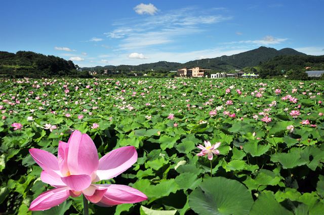 창원 주남저수지 전경. 경남도 제공