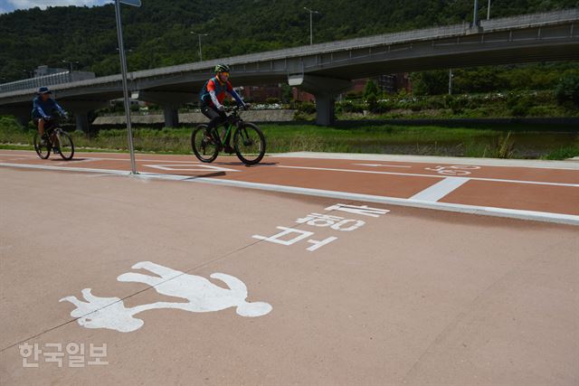 [저작권 한국일보]자전거를 탄 시민들이 대구 신천 둔치 가창교-상동교 구간의 자전거도로를 달리고 있다. 이 구간은 상동교 하류 구간과 달리 자전거도로가 신천 쪽으로 조성됐고, 산책로는 경화토로 시공돼 보행감이 딱딱하다는 지적을 받고 있다. 전준호기자 jhjun@hankookilbo.com