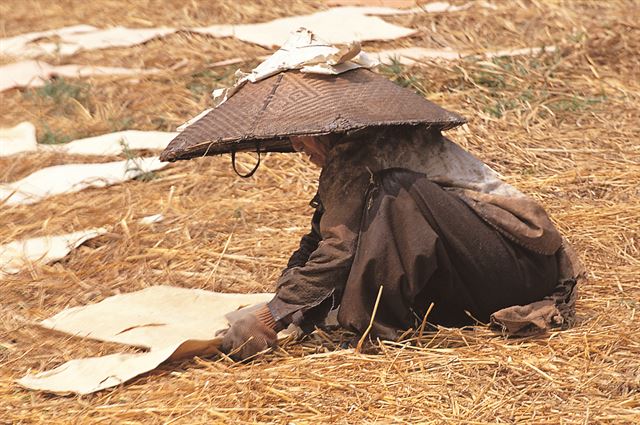 갈옷을 말리는 모습(1990년). ⓒ강정효