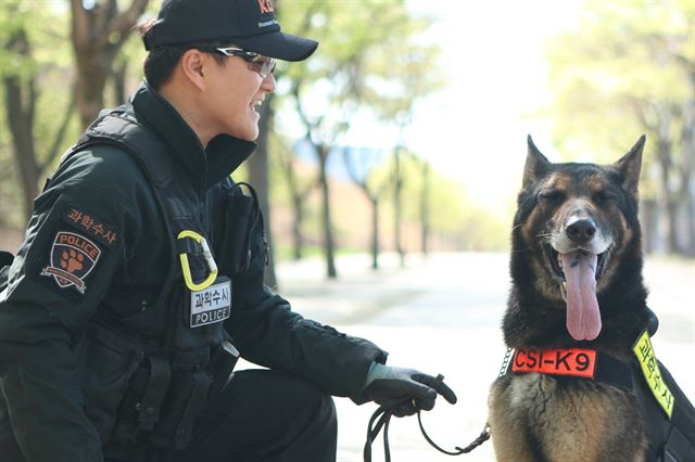 7월23일 충북 음성군의 소속리산에서 자살의심자 수색 도중 뱀에 물려 죽은 체취증거견 래리가 생전 대구경찰청 과학수사계 직원과 포즈를 취했다. 대구경찰청 제공