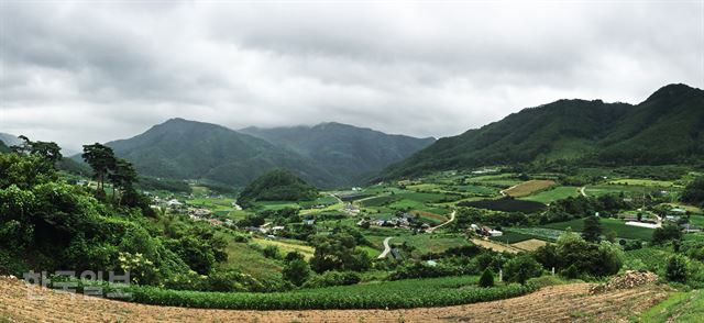 비나리 마을 길은 자체로 훌륭한 산책로다.