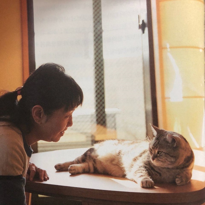 일본 소설가 가쿠다 미쓰요와 고양이 토토. '이제 고양이와 살기 이전의 나로 돌아갈 수 없다' 캡처.