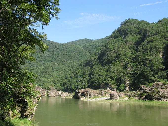 강원도 영월 동강 석회암 지역에는 버섯우산이끼, 동강우산이끼, 어라연우산이끼, 조개우산이끼 등이 드물게 자란다. 국립생태원 제공