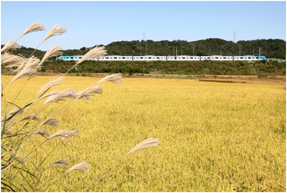 공항철도 일반열차가 청라국제도시역~운서역 구간을 지나고 있다. 공항철도 제공