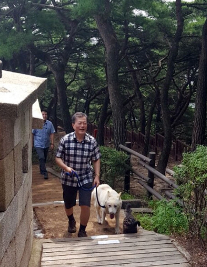 문재인 대통령이 지난해 9월 반려견인 '마루', '토리'와 함께 서울 북악산을 오르고 있다. 연합뉴스